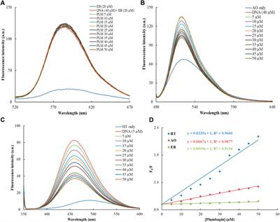 Deciphering the binding mechanism of an anti-cancer phytochemical plumbagin with calf thymus DNA using biophysical and in silico techniques